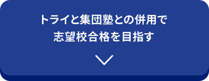 トライと集団塾との併用で志望校合格を目指す