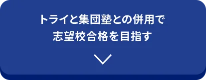 トライと集団塾との併用で志望校合格を目指す