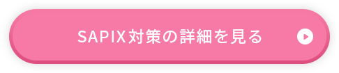 SAPIX対策の詳細を見る