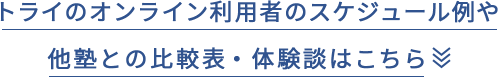 トライのオンライン利用者のスケジュール例や他塾との比較表・体験談はこちら