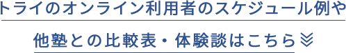 トライのオンライン利用者のスケジュール例や他塾との比較表・体験談はこちら