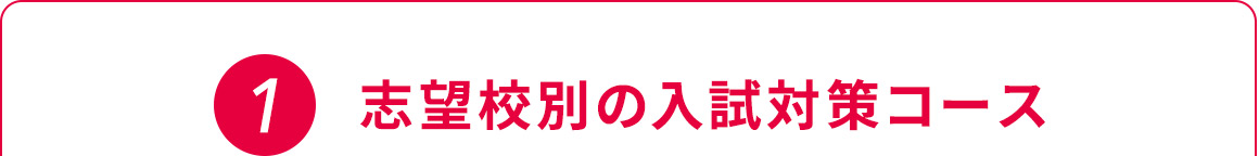 1 志望校別の入試対策コース