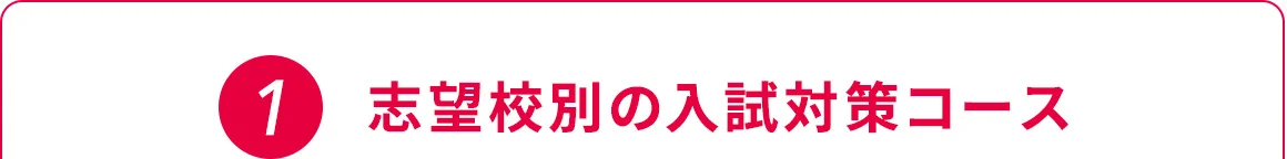 1 志望校別の入試対策コース