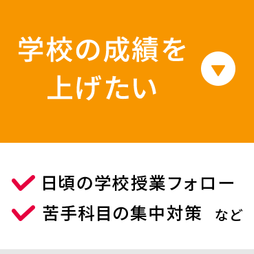 学校の成績を上げたい 日頃の学校授業フォロー 苦手科目の集中対策 など