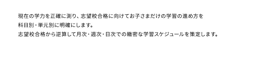 現在の学力を正確に測り、志望校合格に向けてお子さまだけの学習の進め方を科目別・単元別に明確にします。志望校合格から逆算して月次・週次・日次での緻密な学習スケジュールを策定します。