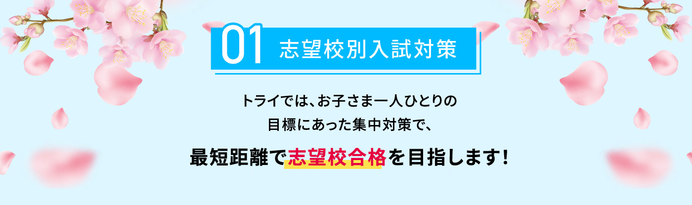 01 志望校別入試対策 トライでは、お子さま一人ひとりの目標にあった集中対策で、最短距離で志望校合格を目指します！
