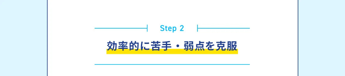 Step 2 効率的に苦手・弱点を克服