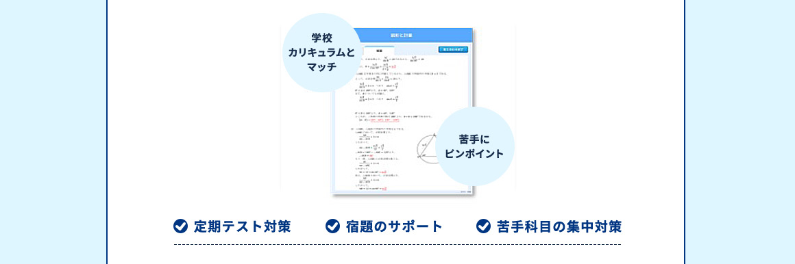 学校カリキュラムとマッチ 苦手にピンポイント 定期テスト対策 宿題のサポート 苦手科目の集中対策