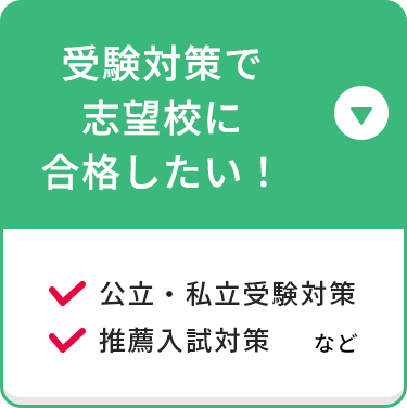 受験対策で志望校に合格したい！ 公立・私立受験対策 推薦入試対策 など
