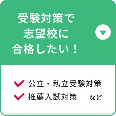 受験対策で志望校に合格したい！ 公立・私立受験対策 推薦入試対策 など