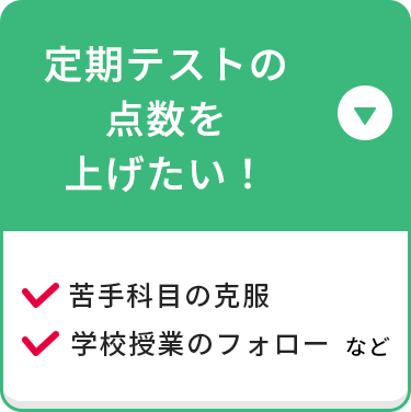 定期テストの点数を上げたい！ 苦手科目の克服 学校授業のフォロー など