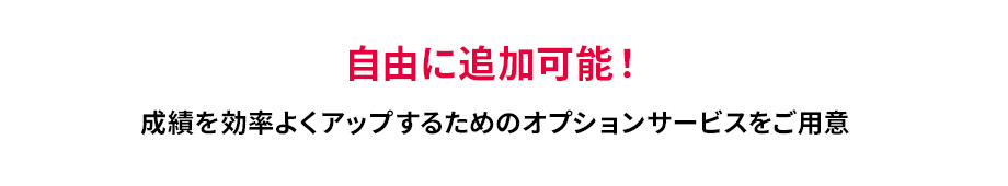 自由に追加可能！ 成績を効率よくアップするためのオプションサービスをご用意