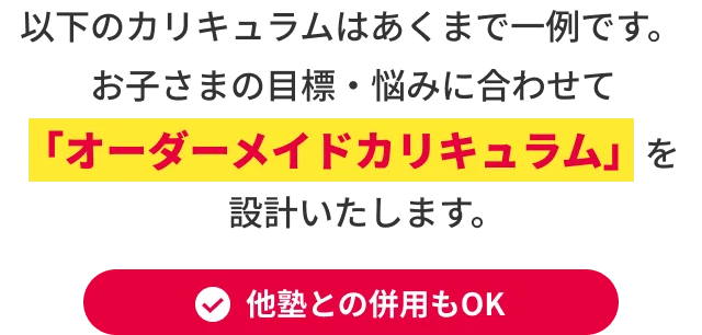 以下のカリキュラムはあくまで一例です。お子さまの目標・悩みに合わせて「オーダーメイドカリキュラム」を設計いたします。 他塾との併用もOK